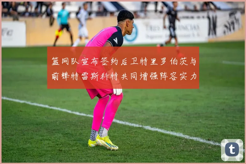 篮网队宣布签约后卫特里罗伯茨与前锋特雷斯科特共同增强阵容实力