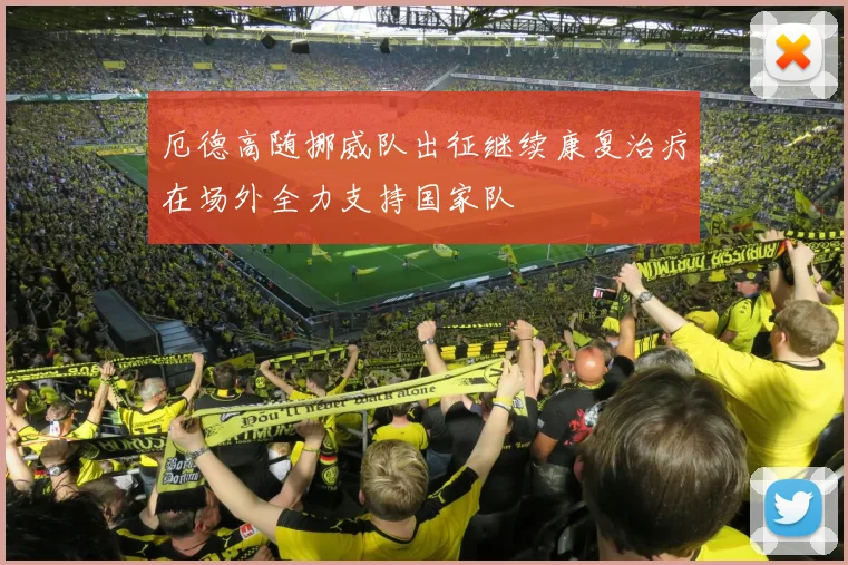 厄德高随挪威队出征继续康复治疗在场外全力支持国家队