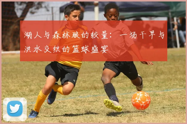 湖人与森林狼的较量：一场干旱与洪水交织的篮球盛宴