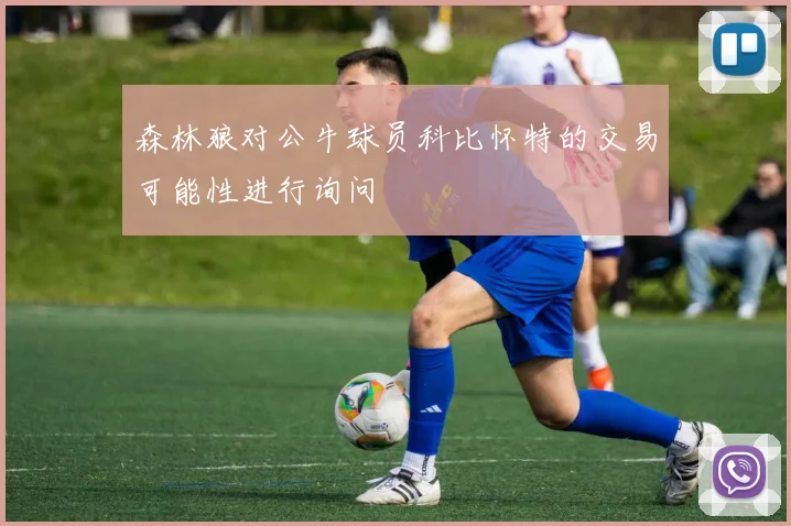 森林狼对公牛球员科比怀特的交易可能性进行询问