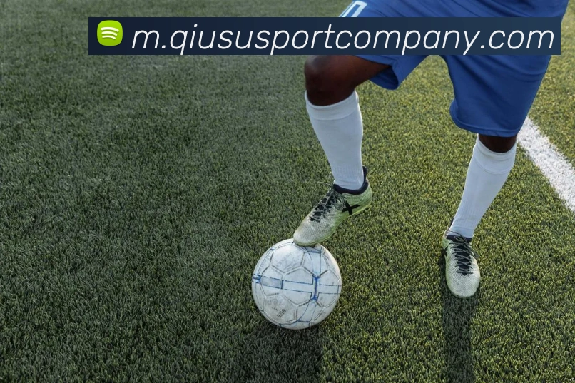 球速体育APP 封面图